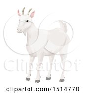 Poster, Art Print Of White Goat