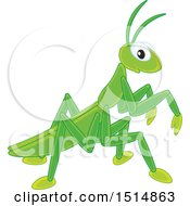 Poster, Art Print Of Cute Praying Mantis