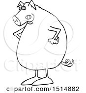 Poster, Art Print Of Cartoon Black And White Mad Pig With Hands On His Hips