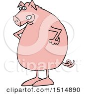 Poster, Art Print Of Cartoon Mad Pig With Hands On His Hips