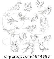 Clipart Of Black And White Birds Royalty Free Vector Illustration