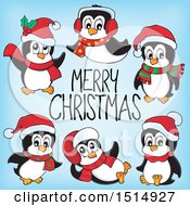 Poster, Art Print Of Merry Christmas Greeting With Penguins On Blue