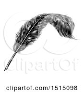 Black And White Engraved Feather Quill Pen