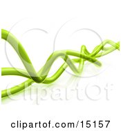 Wavy Green Transparent Pipes Twisting Over A White Background And Reflective Surface Clipart Graphic Illustration