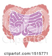 Clipart Of A Human Digestive System Showing The Gastrointestinal Tract Royalty Free Vector Illustration