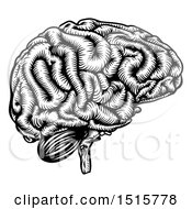 Clipart Of A Black And White Etched Human Brain Royalty Free Vector Illustration