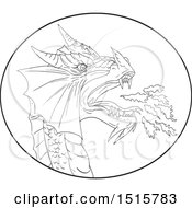 Poster, Art Print Of Sketched Black And White Fire Breathing Dragon In An Oval