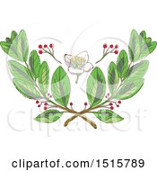 Leaf Flower And Fruit Of Yerba Mate Design
