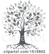 Grayscale Oak Tree With Roots And Leaves