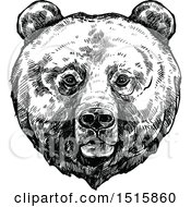 Poster, Art Print Of Black And White Sketched Grizzly Bear Face