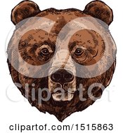 Poster, Art Print Of Sketched Grizzly Bear Face