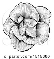 Poster, Art Print Of Black And White Rose Flower In Woodcut Style