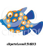 Tropical Marine Fish
