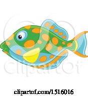 Poster, Art Print Of Tropical Marine Fish