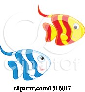 Poster, Art Print Of Tropical Marine Fish