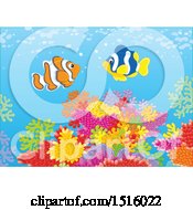 Poster, Art Print Of Coral Reef And Fish