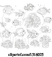 Poster, Art Print Of Black And White Tropical Marine Fish Anemone And Coral