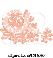 Clipart Of A Pink Coral Royalty Free Vector Illustration