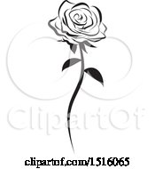 Clipart Of A Black And White Single Rose Royalty Free Vector Illustration by Vitmary Rodriguez #COLLC1516065-0040