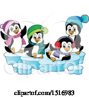 Clipart Of Winter Penguins Royalty Free Vector Illustration by visekart
