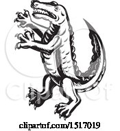 Clipart Of A Rampant Alligator In Black And White Scratchboard Style Royalty Free Vector Illustration