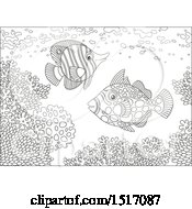 Poster, Art Print Of Black And White Butterfly Fish And A Clown Triggerfish At A Coral Reef