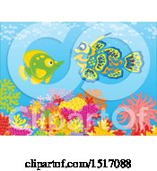 Poster, Art Print Of Butterflyfish And A Mandarin Fish At A Coral Reef