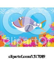 Poster, Art Print Of Triggerfish At A Coral Reef