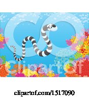 Poster, Art Print Of Sea Snake At A Coral Reef