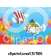 Poster, Art Print Of Butterfly Fish And A Clown Triggerfish At A Coral Reef