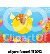 Poster, Art Print Of Blowfish At A Coral Reef