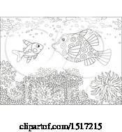 Poster, Art Print Of Black And White Boxfish And Xray Fish At A Coral Reef