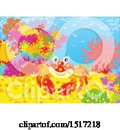Poster, Art Print Of Happy Crab At A Coral Reef