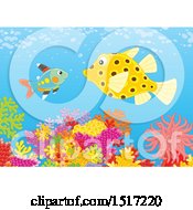 Poster, Art Print Of Boxfish And Xray Fish At A Coral Reef