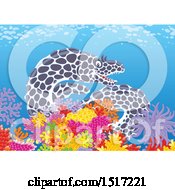 Poster, Art Print Of Moray Eel At A Coral Reef