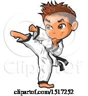 Karate Boy Kicking