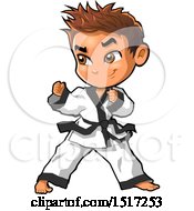 Karate Boy In A Fighting Stance