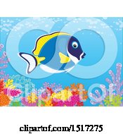 Poster, Art Print Of Powder Blue Tang Fish At A Reef