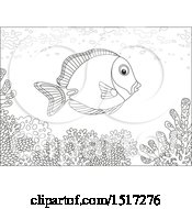 Poster, Art Print Of Black And White Powderblue Surgeonfish At A Reef