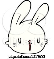 Poster, Art Print Of Cartoon Rabbit Face
