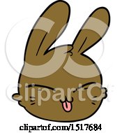 Cartoon Rabbit Face