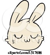 Cartoon Rabbit Face