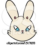 Cartoon Bunny Face