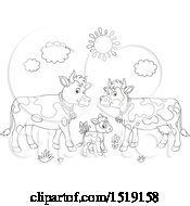 Poster, Art Print Of Black And White Calf And Cows