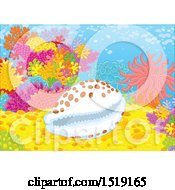 Poster, Art Print Of Cowry Shell At A Coral Reef