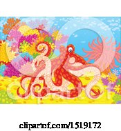 Poster, Art Print Of Red Octopus At A Reef
