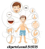 Poster, Art Print Of Boy With Close Ups Of Body Parts