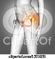 Clipart Of A 3d Anatomical Woman With A Highlighted Hip Bone Royalty Free Illustration