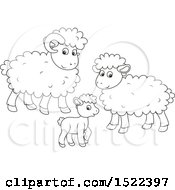 Poster, Art Print Of Black And White Sheep Family