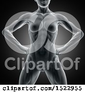 Clipart Of A 3d Xray Woman With Visible Abdominal Muscles On A Dark Gray Background Royalty Free Illustration